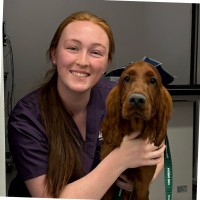 Veterinary Referral Hospital Employee Shannel Downey's profile photo