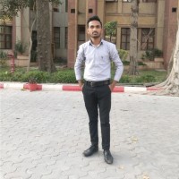 Helloverify Employee Bittu Kumar's profile photo