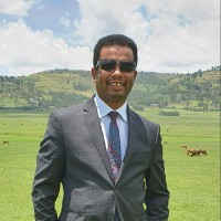 Liko Tolesa Email