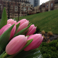 hospital Employee Bayan Mirza's profile photo