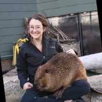 Turtle Bay Exploration Park Employee Elizabeth Golnick's profile photo