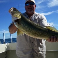 Donald Lauritsen's profile photo