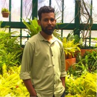 Datasense technologies Employee Abdul Vahid's profile photo