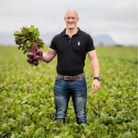 De Meyer Email