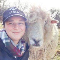 Dorset Wildlife Trust Employee Kelly Hunt's profile photo