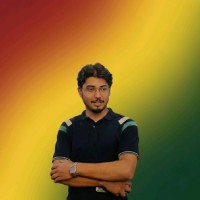 Ahmed Hassan Email & Phone Number