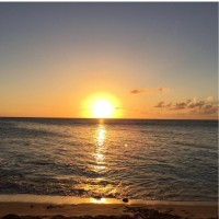 Sheraton Hotels & Resorts Employee Lorraine Morales's profile photo