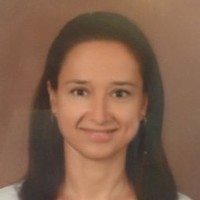 Ege Yapi Inc. Employee Didem Şirin's profile photo