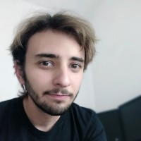 Luca Seimandi Email
