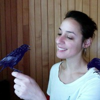 Mercearia Audiovisual Employee Beatriz Tomaz's profile photo
