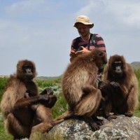 University of Toronto Employee Malcolm Ramsay's profile photo