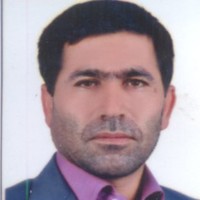 STE Employee Ali Yosefi's profile photo