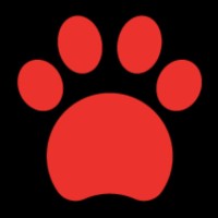 PingAn Trust Co., Ltd Employee Changhao Liu's profile photo