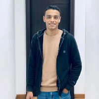 Ali Rabea Email