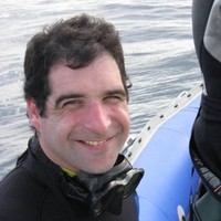 Anderson Moores Veterinary Specialists Employee Anthony Zambelli's profile photo