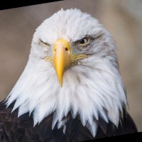 Drjack Shulman Email