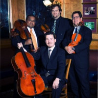 String Poets Employee Aaa Quartet's profile photo