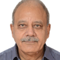 IndiGo (InterGlobe Aviation Ltd) Employee Raj Arora's profile photo