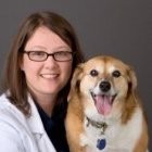 Julie Anderson Email & Phone Number