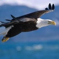 Global Business Lending Employee Tamara Duncan's profile photo