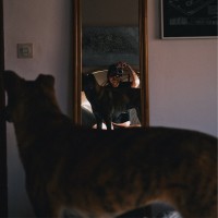 Nora Giannini's profile photo