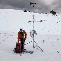 Interpine Innovation Employee Todd Redpath's profile photo