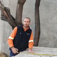 Tony Pfaff Email