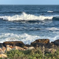 Grundfos Employee Henry Meyer's profile photo