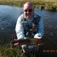 Mark Surber Email & Phone Number