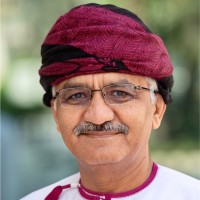 Support And Inspire (SAI) Consulting Services Employee Narayan Ramachandran's profile photo