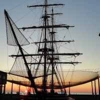 Polistirolo Italia Employee Simone Montibeni's profile photo