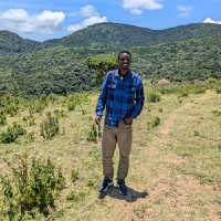 Hawassa University Employee Doyma Galdi's profile photo