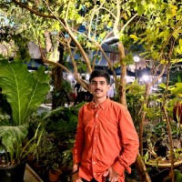 Smartify Technologies Employee Jay Panchal's profile photo