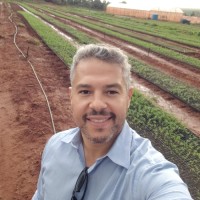 Rui Pedro Simões Email
