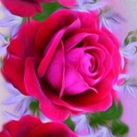 GoodWorker Employee Naseem Akhtar's profile photo