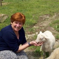 Phyllis Foy Email & Phone Number