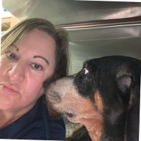Veterinary Emergency Group Employee Stacy Nelson's profile photo