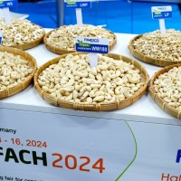 Fomexco JSC Employee Lisa Fomexco's profile photo