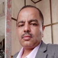 Right Path Contracting Employee Ali Abdelhamid's profile photo