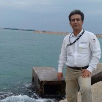 PE-Services Employee Saeed Ariafar's profile photo