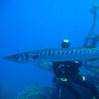 MONI Smart Security Employee Rob Hoadley's profile photo