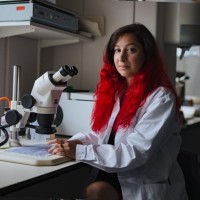 Netherlands Institute for Neuroscience Employee Tara Arbab's profile photo
