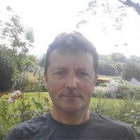 Daniel Imc Email & Phone Number