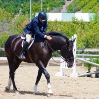 John Berney Equestrian Employee John Berney's profile photo