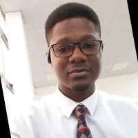 Lydia Painting Employee Moses Omotola's profile photo
