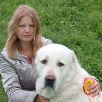Fortasa Memory Systems, Inc. Employee Toni Briski's profile photo