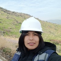 WES Employee Deniss L.'s profile photo