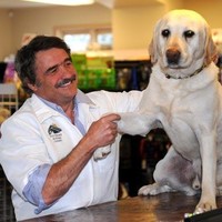 Sun Valley Animal Center Employee Randy Acker's profile photo