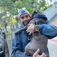 Gianfranco Utili Email & Phone Number