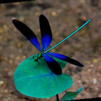 CE21 LLC Employee Amy Leggett's profile photo